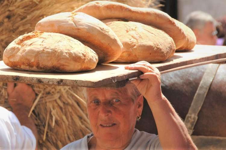 Abitanti di Bovino